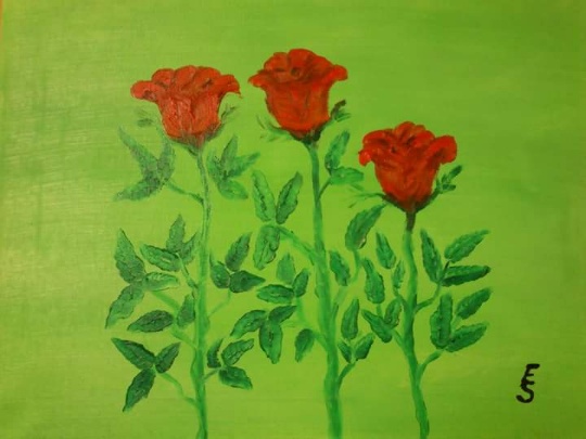 Tre röda rosor.